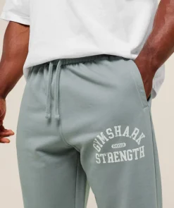 2012 Strength Joggers