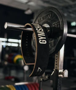 Lever Lifting Belt