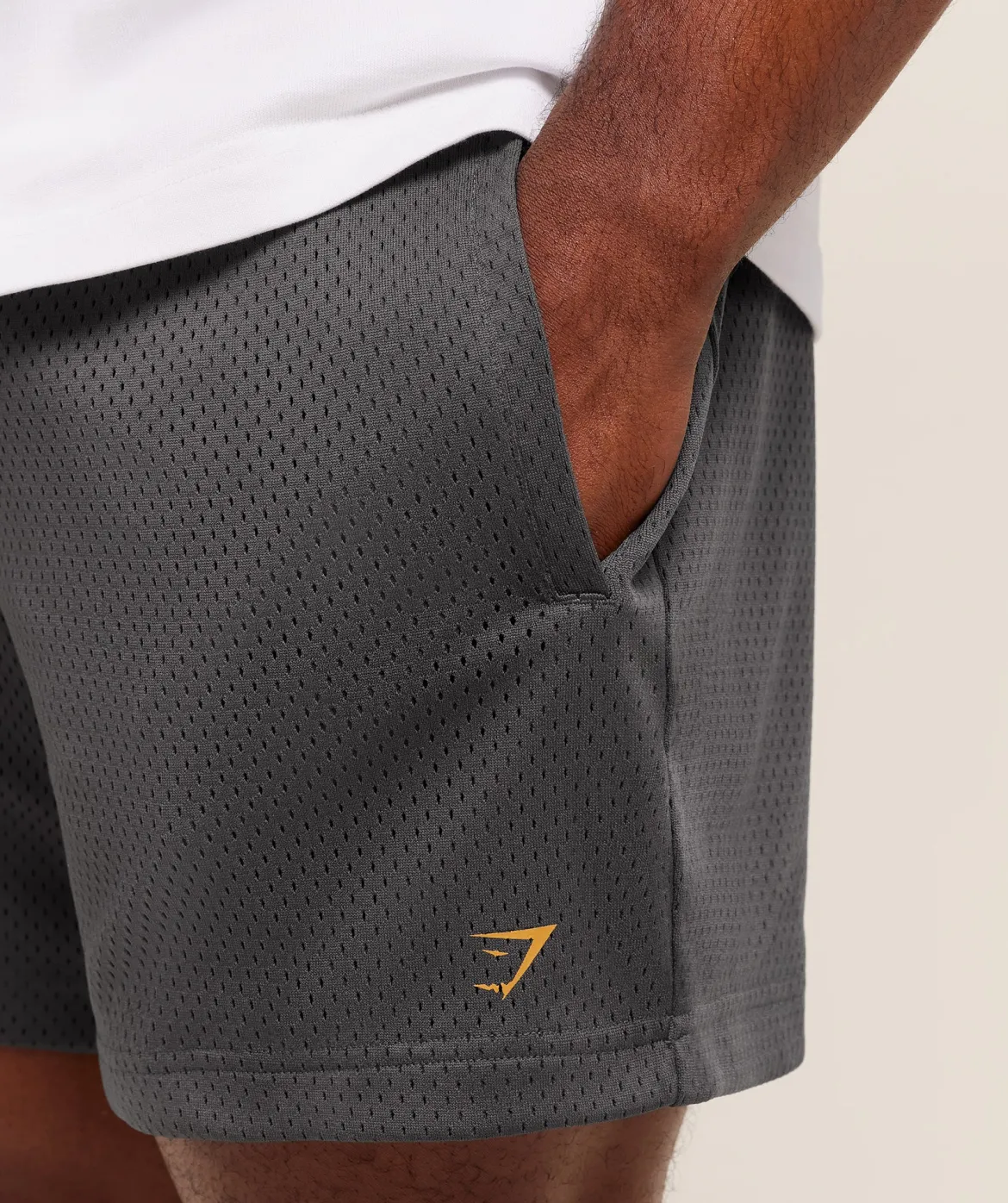Lifting Barbell Mesh 5" Short