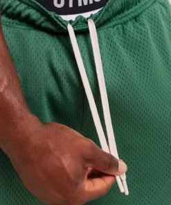 Lifting Mesh 5