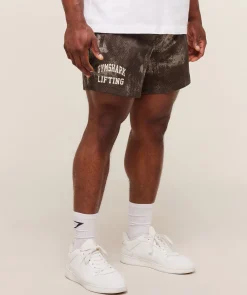 Lifting Mesh 5
