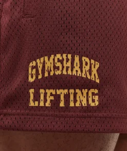 Lifting Mesh 5