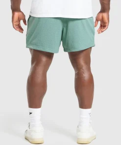 Lifting Mesh 5" Shorts