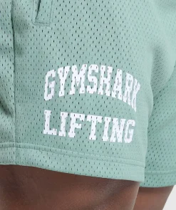 Lifting Mesh 5