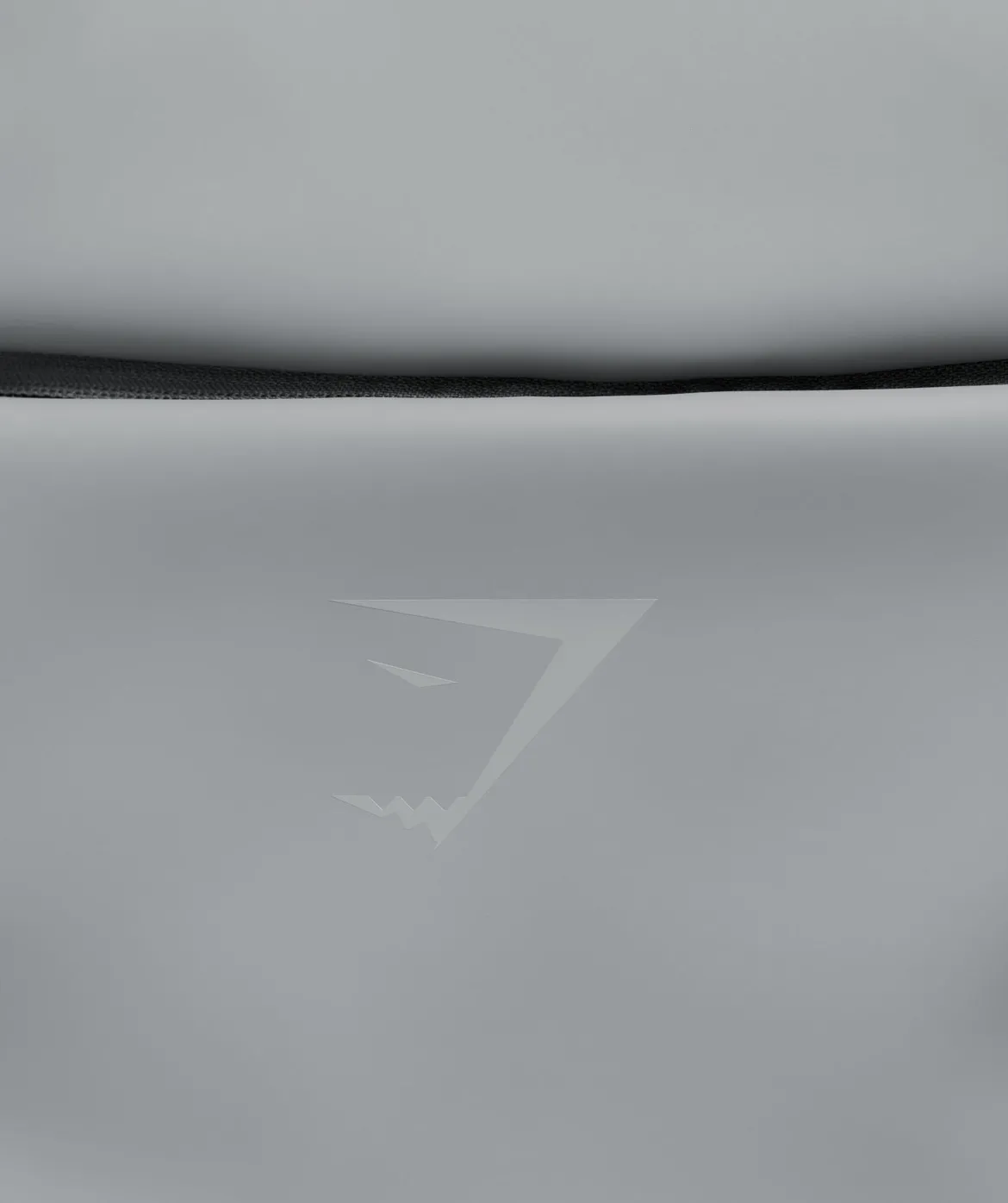 Sleek Backpack